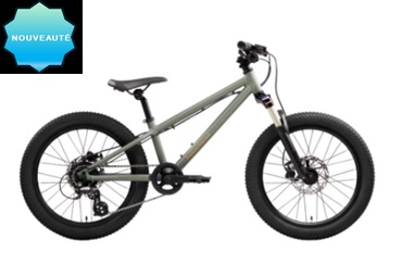 Vélo de la Côte NORCO CHARGER   Roue 20