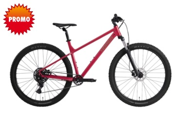 V&eacute;lo de la C&ocirc;te NORCO STORM 100-29 L/19