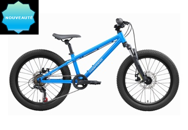 Vélo de la Côte NORCO STORM   Roue 20