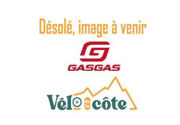 Vélo de la Côte GASGAS ECA1 29 10-S XL/21