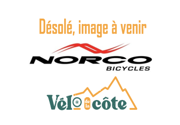 Vélo de la Côte NORCO FLUID VLT C2-29 M/17